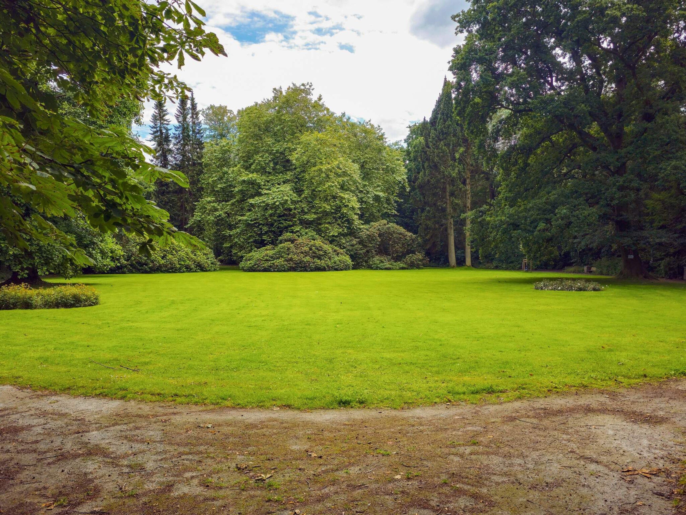 A well-maintained grassy area with trees and shrubs, a clear sky, and a dirt path leading into the scene.