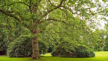 Ferienhaus | Außenbereich