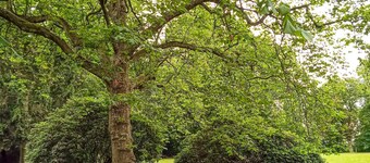 4 Person Holiday Home in Tonder-by Traum