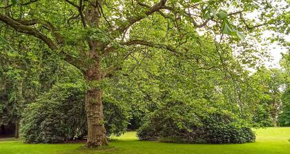 4 Person Holiday Home in Tonder-by Traum