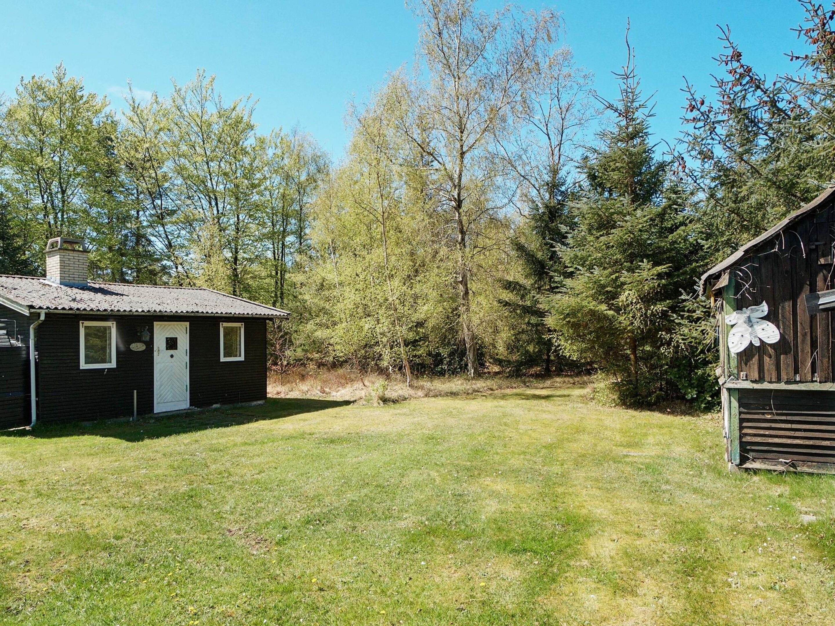 A small cabin with a white door and window, surrounded by a grassy yard and dense trees.