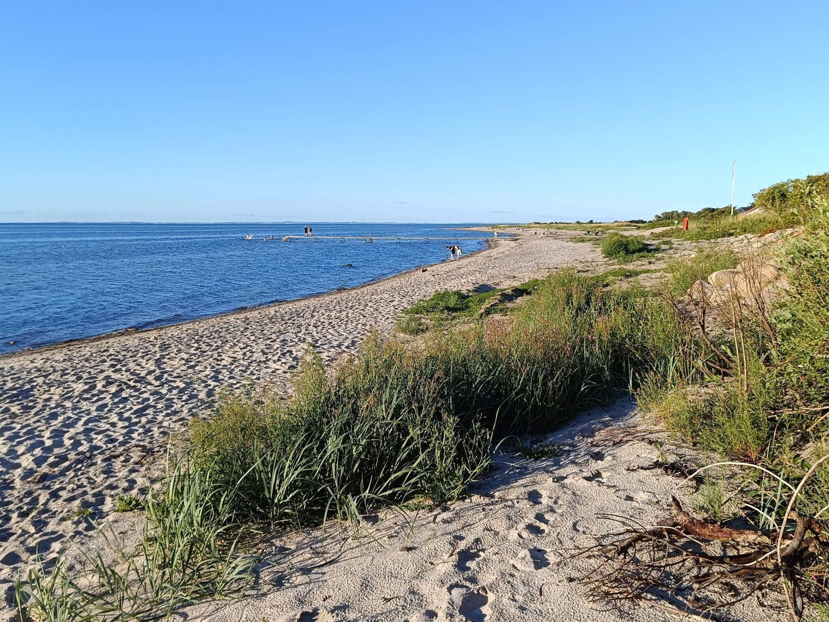 Ein sandiger Strand mit Fußspuren, einem wolkenlosen, blauen Himmel und ruhiger See.