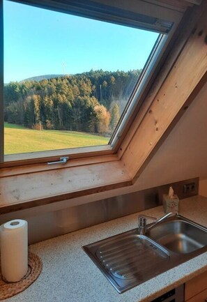 Private kitchen - Apartment on the Isenmann Fruit Farm (Zell am Harmersbach)