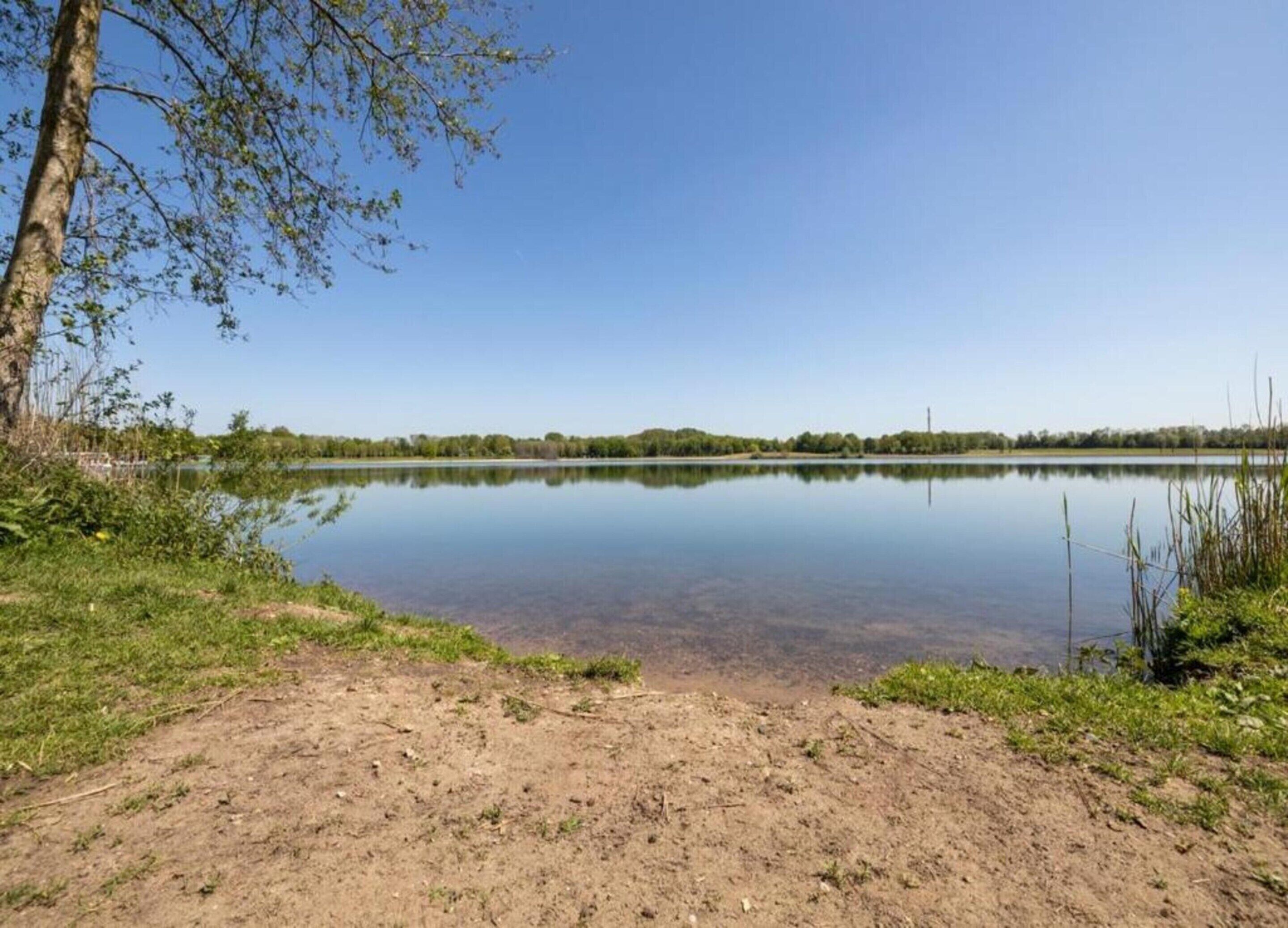 A calm lake with a clear sky, surrounded by grassy areas and trees.