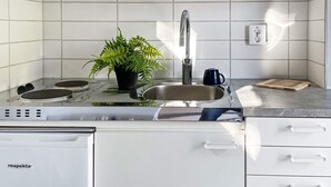 A modern kitchen with a stainless steel sink, a potted plant, and a coffee mug. - 3 Person Holiday Home in Ljungby (Ljungby)