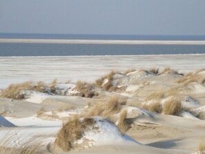 海灘