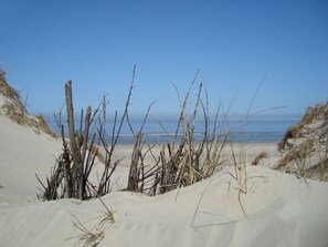 A beach with sand dunes and sparse vegetation. - Strandblume Borkum Comfortable Holiday Residence (Borkum)