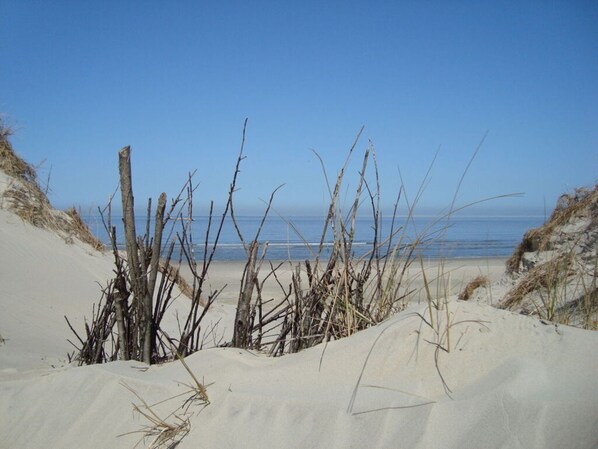 Thể thao tuyết và trượt tuyết