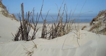 Strandblume Borkum Comfortable Holiday Residence