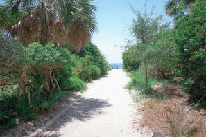 Playa