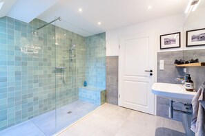 Shower, hair dryer, soap, toilet paper