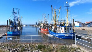 A marina with several fishing boats docked. - Sun, Mudflats and sea (Wurster Nordseeküste)