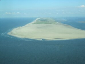 海灘