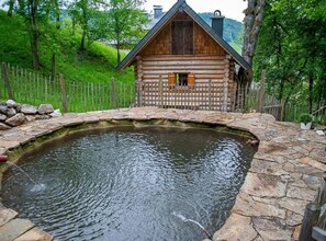 Pool - Infanglalm "traunsee" (Altmuenster)