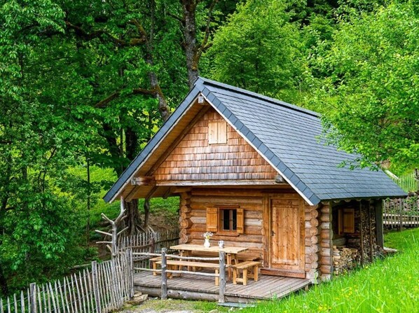 Exterior - Infanglalm "traunsee" (Altmuenster)