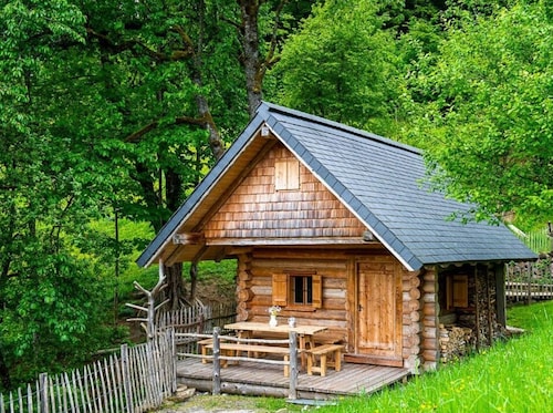 Infanglalm "traunsee"