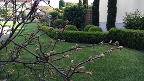 A well-maintained garden with trimmed hedges and a lawn. - Holiday Apartment Helde Hochberg (Sasbach am Kaiserstuhl)