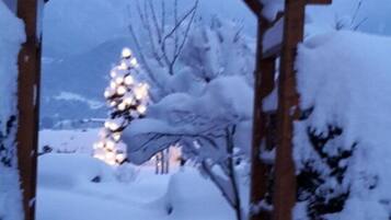 Rumah | 1 kamar tidur dan dilengkapi dengan perabotan berbeda-beda