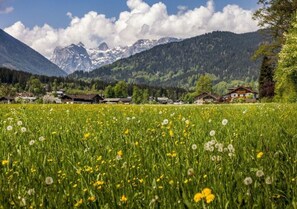 A rural village with traditional houses, a meadow with dandelions, and mountains in the background. - Kehlstein - Reich Family (Schoenau am Koenigssee)