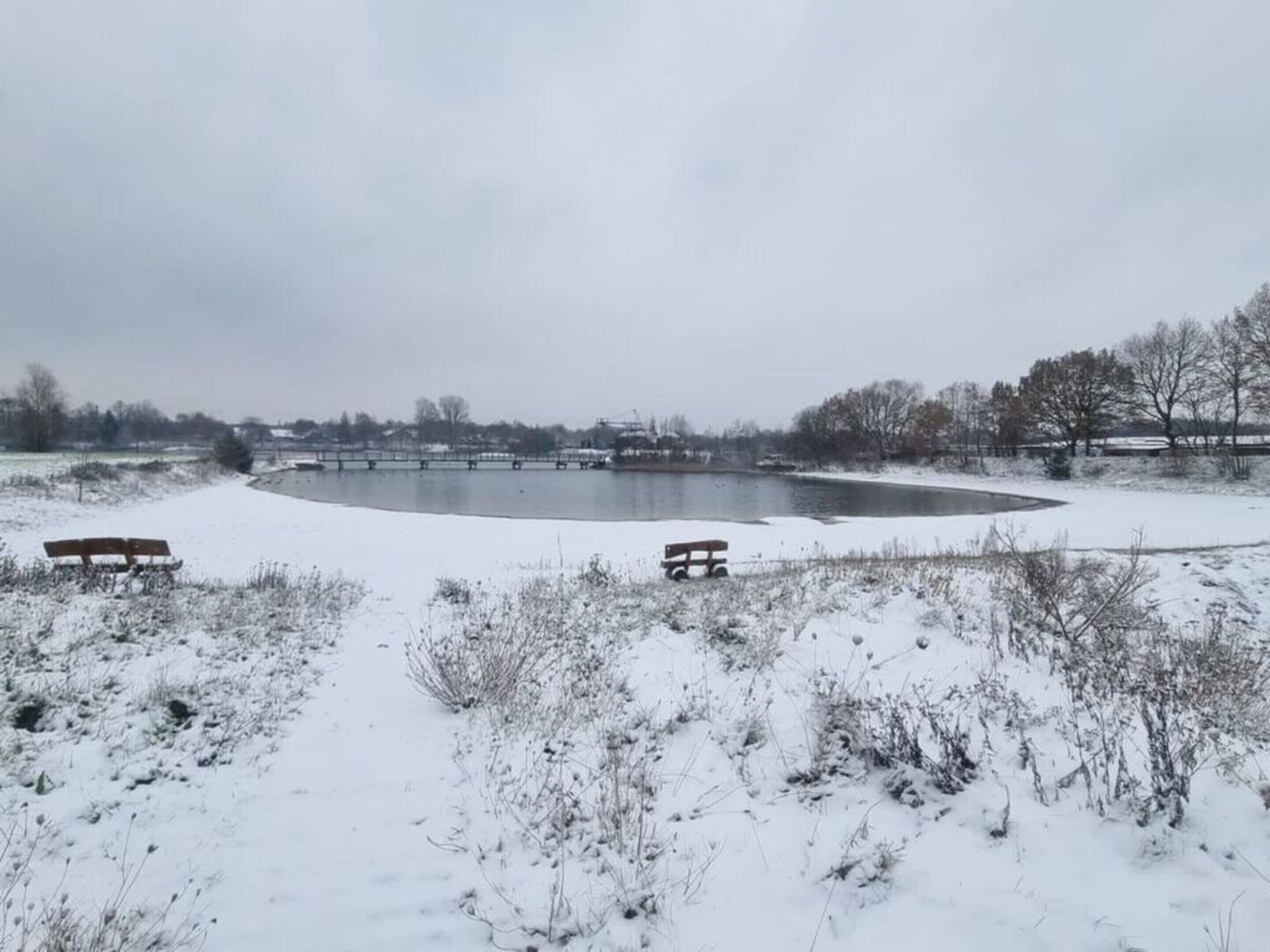 A snow-covered outdoor area with a pond, benches, and sparse vegetation.