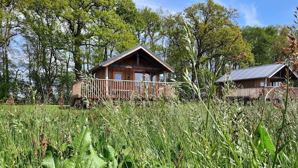 A wooden cabin with a balcony, surrounded by tall grass and trees. - Lodge in Drenthe With Scenic Veranda (Ruinerwold)