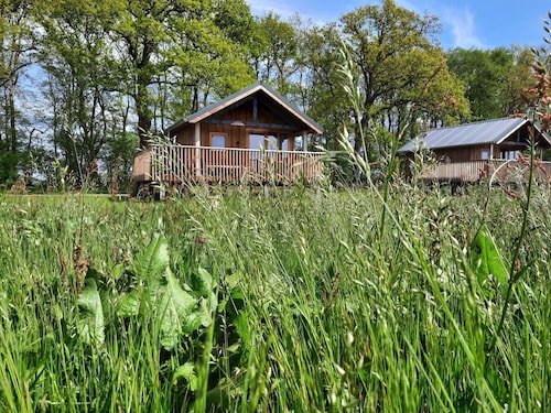 Lodge in Drenthe With Scenic Veranda