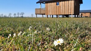 A wooden structure with a balcony, situated in a grassy field with daisies. - Lodge in Drenthe With Scenic Veranda (Ruinerwold)