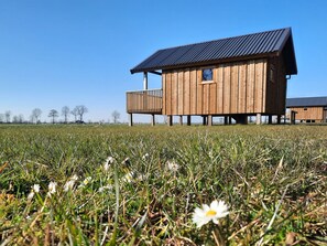 House | Exterior - Lodge in Drenthe With Scenic Veranda (Ruinerwold)