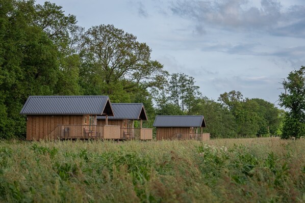 Trois cabanes en bois, coiffées de toits métalliques, se dressent dans un champ verdoyant, entourées d’arbres.