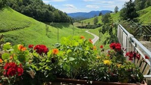 A scenic view from a balcony with a wooden railing overlooking a winding road through a lush green valley with mountains in the distance. - Eisenmann Holiday Farm (Gengenbach)