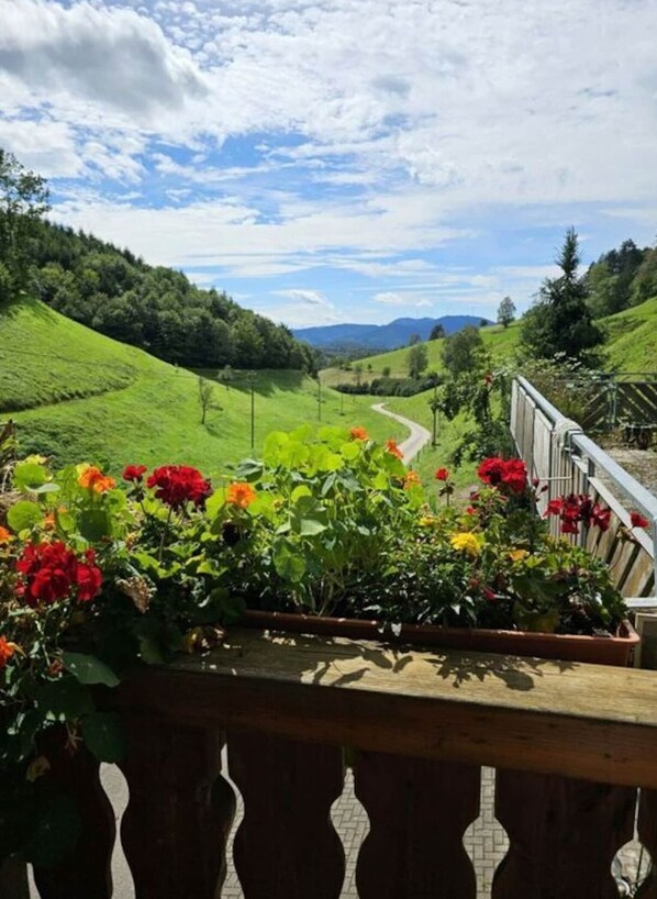 Khuôn viên nơi lưu trú