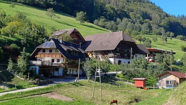 A traditional chalet-style building with a sloped roof, surrounded by lush green hills and trees. - Eisenmann Holiday Farm (Gengenbach)