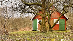 A small red wooden house with green shutters, surrounded by a natural landscape with snowdrops and a large tree. - 4 Person Holiday Home in Solvesborg-by Traum (Sölvesborg)