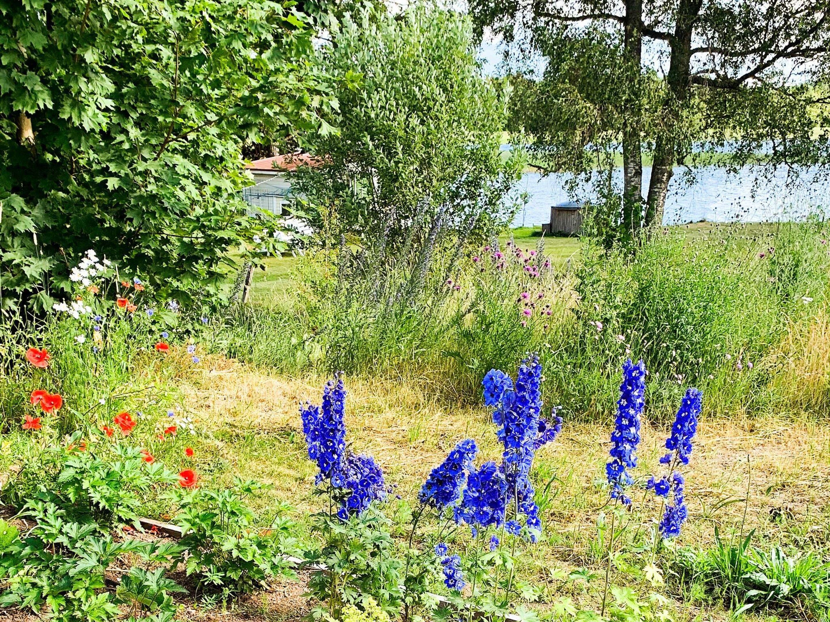 A garden with various plants and flowers, a body of water in the background, and a building with a red roof.