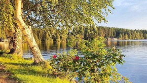 Uklassifisert bilde, 2 av 21, knapp