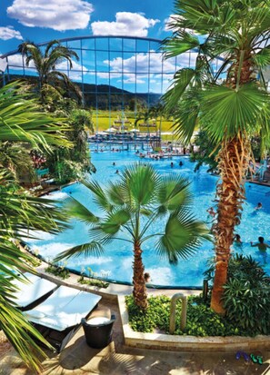 An indoor swimming pool with palm trees, a glass ceiling, and a view of a mountainous landscape.