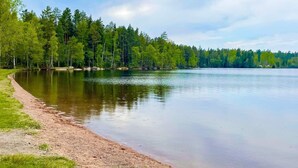 Eine friedliche Uferlandschaft mit Sandstrand und dichtem Wald im Hintergrund.