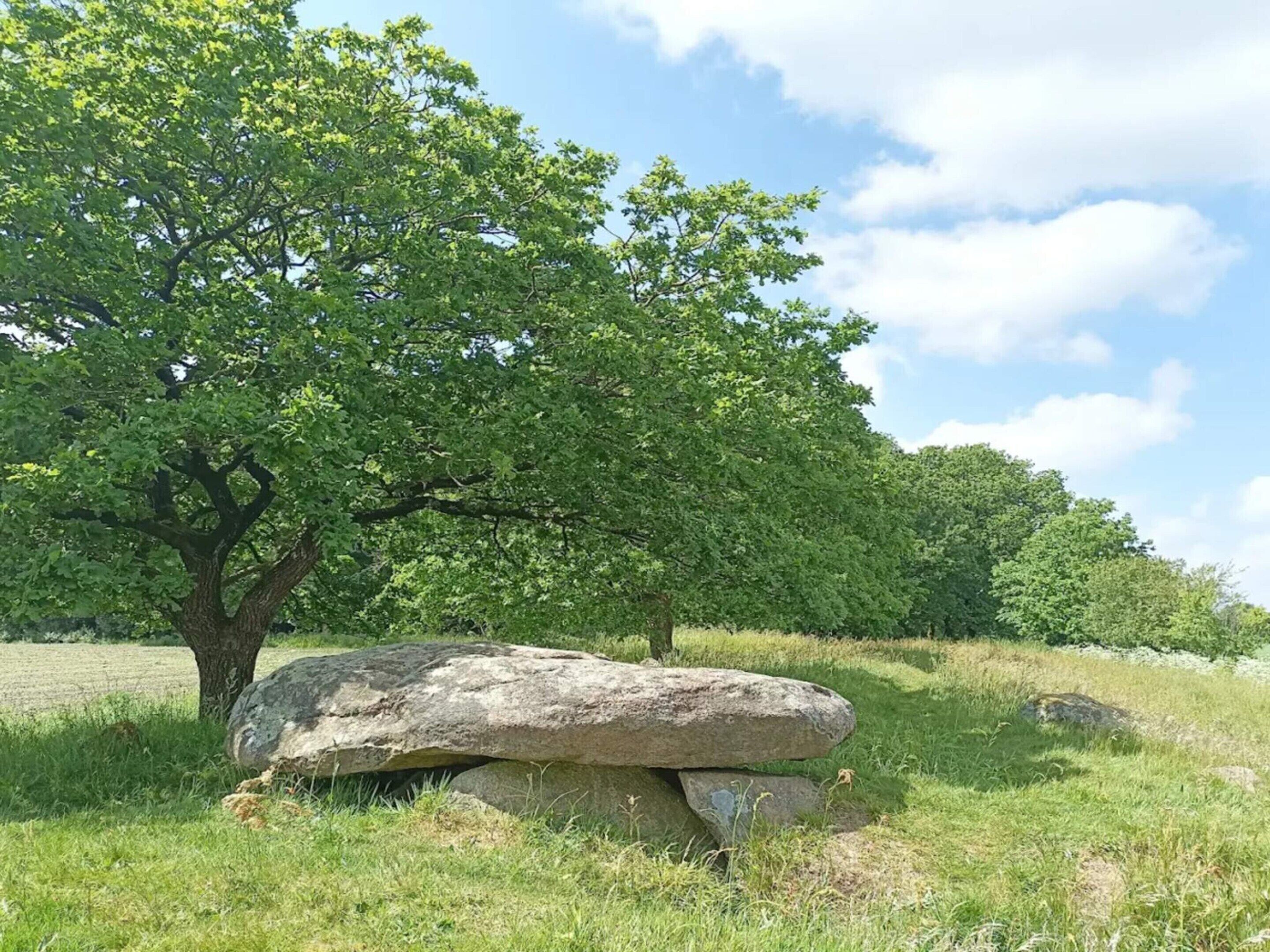 A large rock formation in a grassy field with a tree in the background.