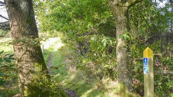 House | Property grounds