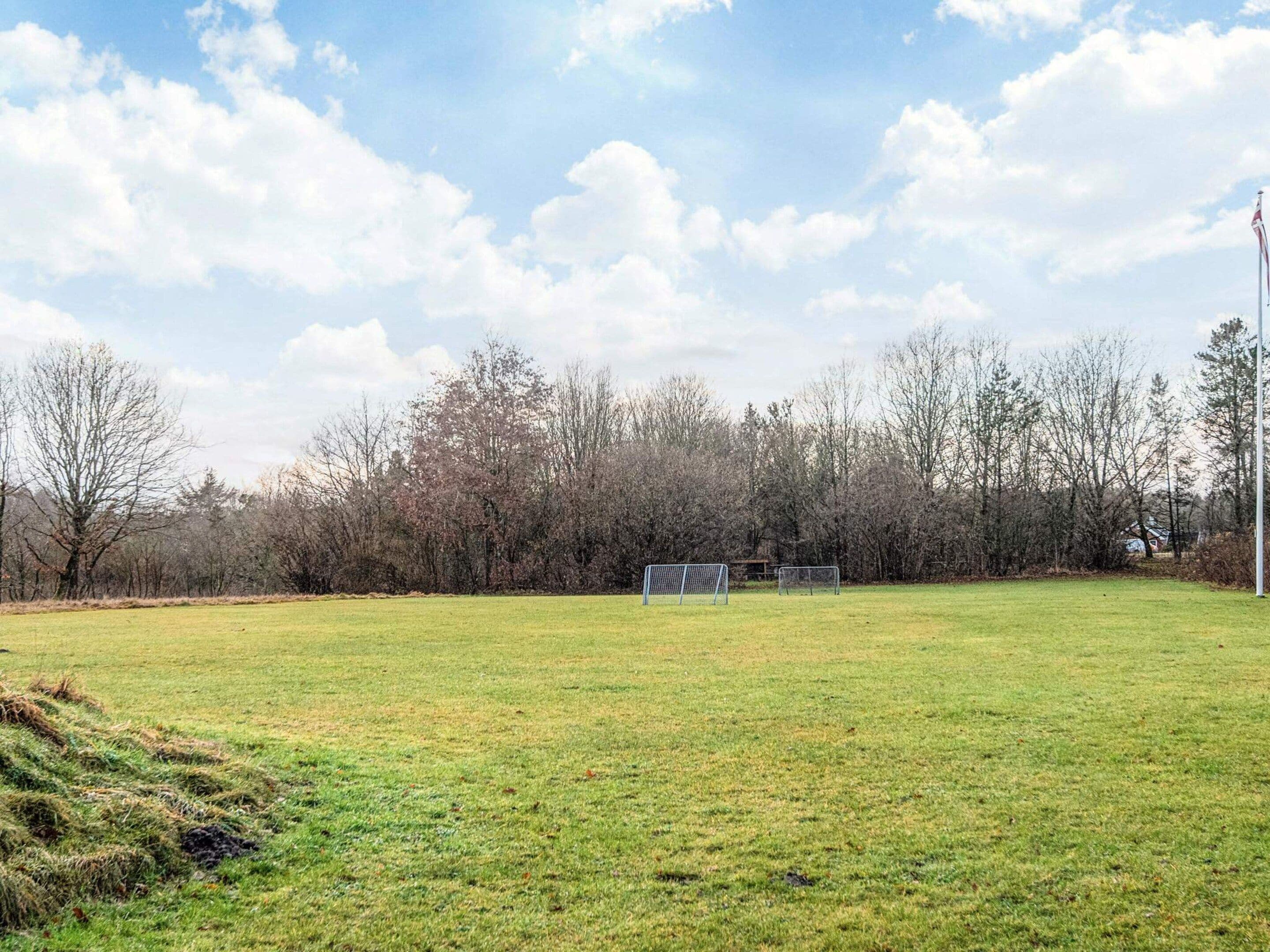 Ein grünes Feld mit zwei Fußballtoren, Bäumen im Hintergrund und einer Fahnenstange.