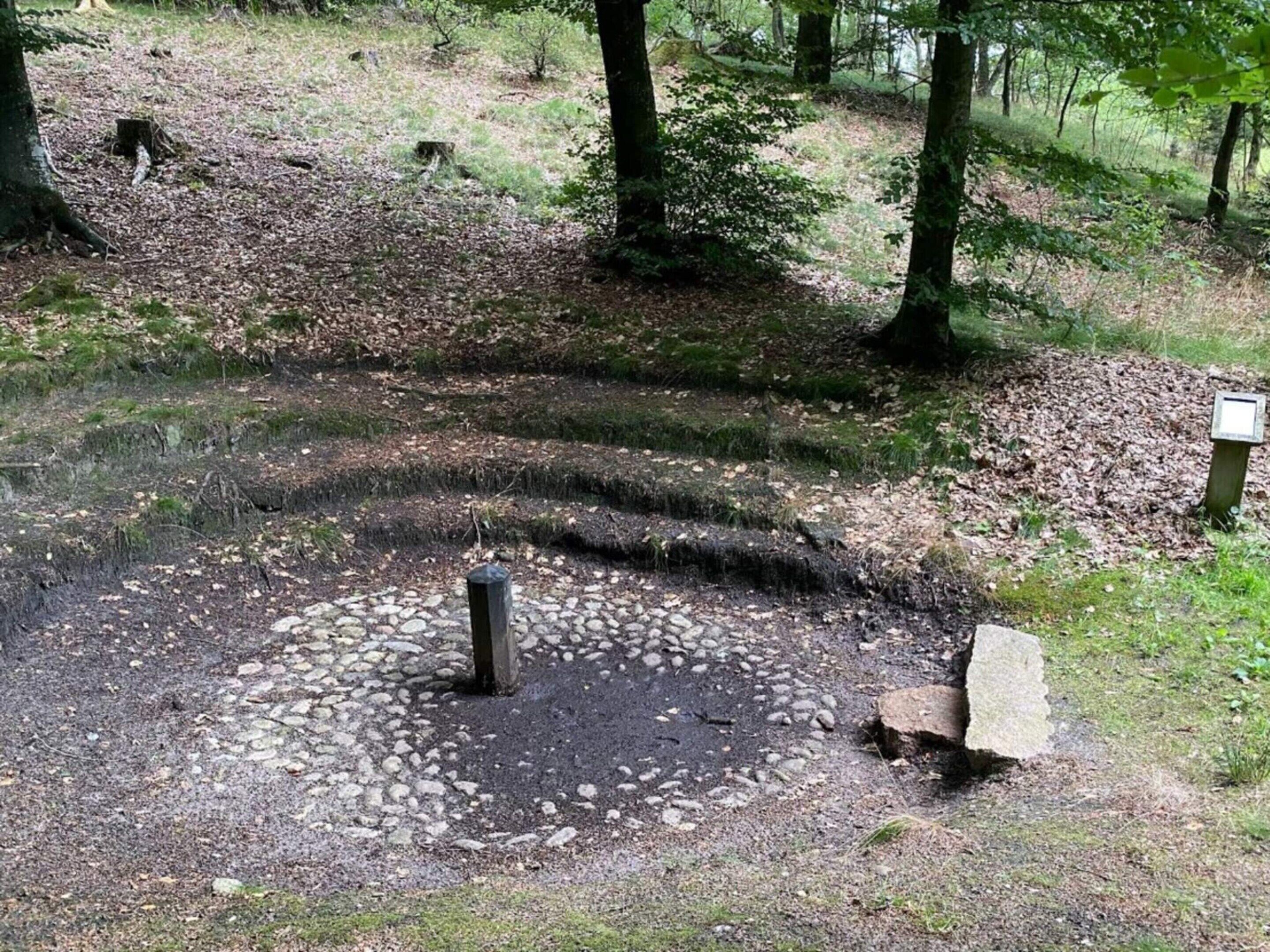 A forested area with a circular stone pattern, a stone bench, and a signpost.