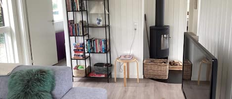A living room with a grey sofa, a black bookshelf, a fireplace, and a television.