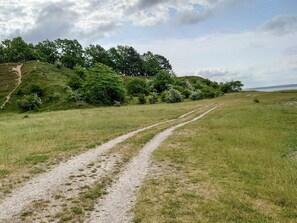 A gravel path in a grassy field with trees on the left and a body of water in the distance. - 6 Person Holiday Home in Skibby (Skibby)
