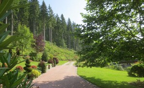 A paved pathway leading through a lush green landscape with dense trees and a small building in the distance. - Holiday Home Tauchert (Baiersbronn)