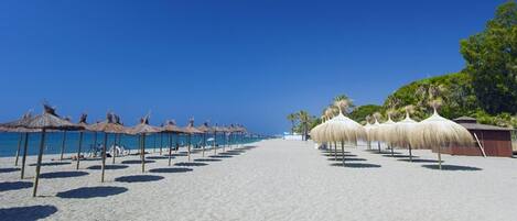 House | View from property