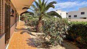 A corridor with palm trees and shrubs, a tiled floor, and a building with a beige awning.