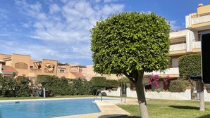 A swimming pool with a tree in the foreground, surrounded by well-maintained grass and a clear blue sky.