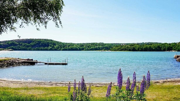 A lakeside view with a dock extending into the water, surrounded by lush greenery and purple flowers. - 10 Person Holiday Home in Brastad-by Traum (Brastad)
