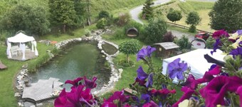 Apartment in Mallnitz With Swimming Pond