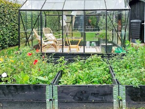 A greenhouse with a glass roof, wooden chairs, and raised garden beds filled with plants.
